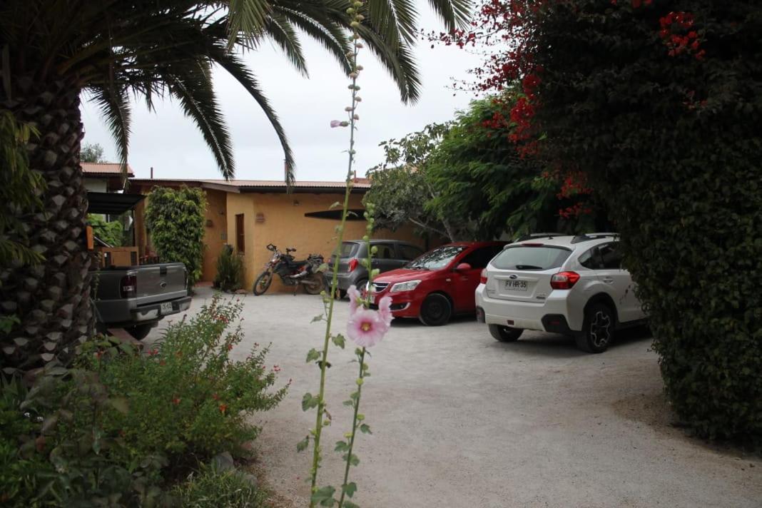 Hostal El Punto ลาเซเรนา ภายนอก รูปภาพ